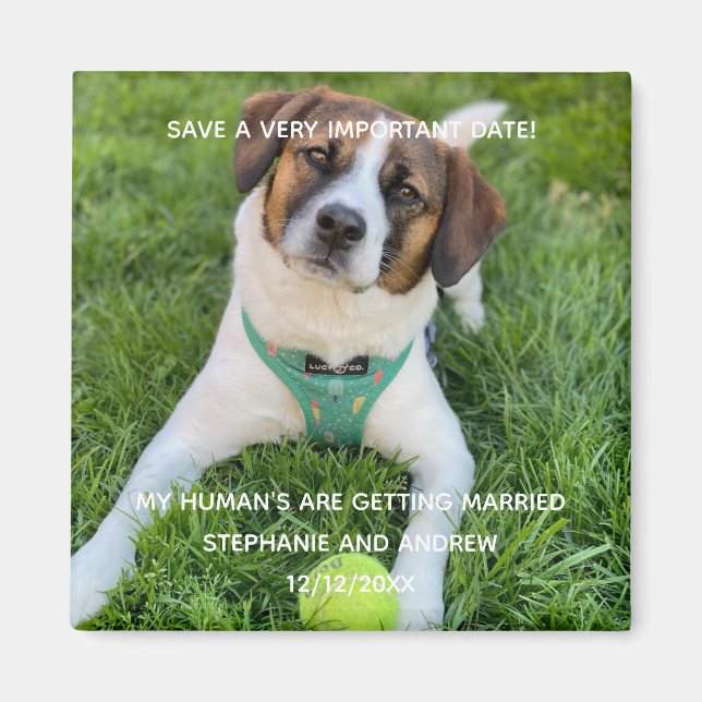 Hunde Foto Save the Date Verlobung Karte Magnet (Vorne)