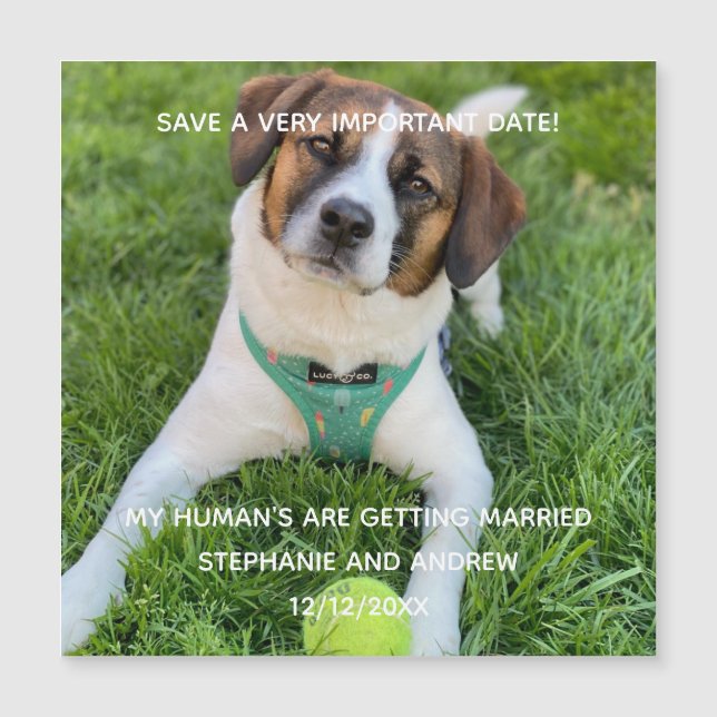 Hunde Foto Save the Date Verlobung Kartenmagazin Magnetkarte (Vorderseite)