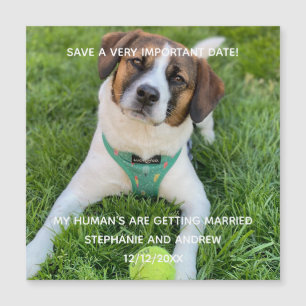 Hunde-Foto-Save-The-Date-Verlobungs-Kartenmagnet Magnetkarte