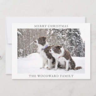 Hunde Foto Schnee Weihnachtsfeiertag Feiertagskarte