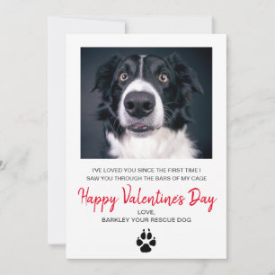 Hunde-Foto Valentinstag von dem Hund Feiertagskarte