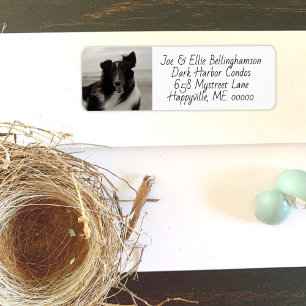 Hunde-Foto-Vorlage Rücksende-Adressetikett