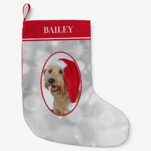 Hunde Foto Weihnachten Kleiner Weihnachtsstrumpf