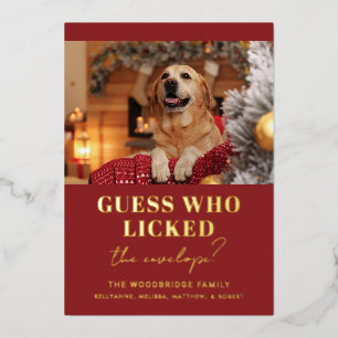 Hunde-Foto-Weihnachten-Lustig Folien Feiertagskarte