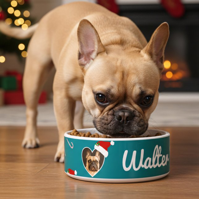 Hunde Foto Weihnachtsmannmütze Aquamarin Weihnacht Napf (Just add your best friend's photo and name to this festive teal dog bowl)