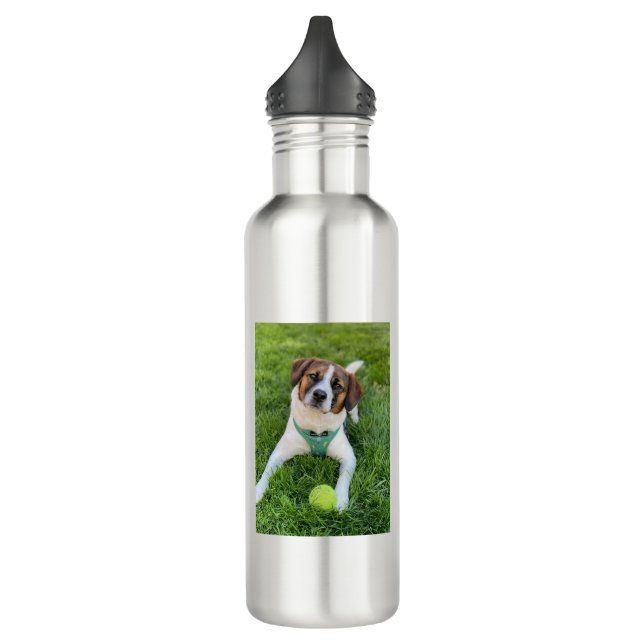 Hunde Foto Zwei Fotos hinzufügen Edelstahlflasche (Links)