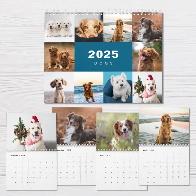 Hunde FotoCollage Modern 2025 Kalender (Von Creator hochgeladen)