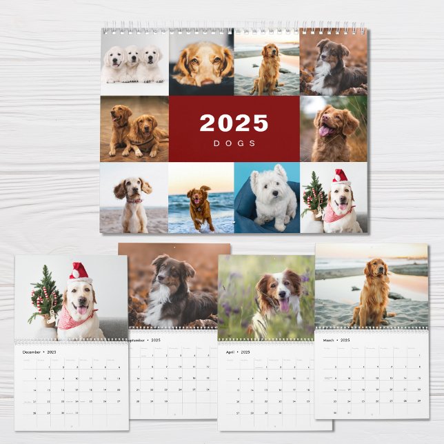 Hunde FotoCollage Modern 2025 Kalender (Von Creator hochgeladen)