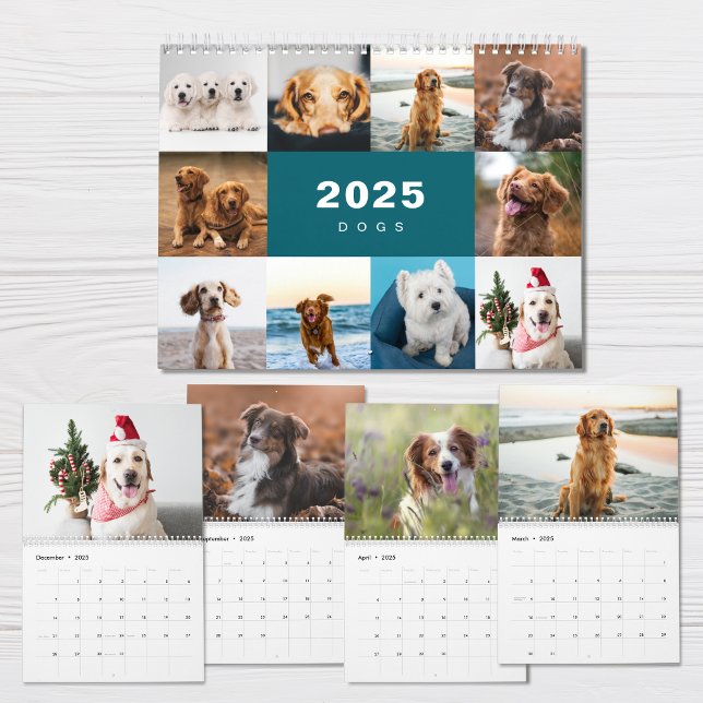 Hunde FotoCollage Modern 2025 Kalender (Von Creator hochgeladen)