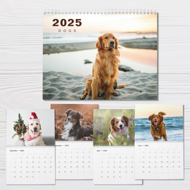 Hunde FotoCollage Modern 2025 Kalender (Von Creator hochgeladen)