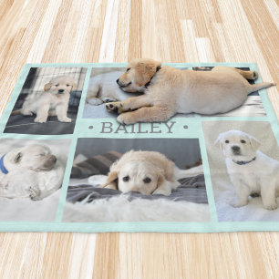 Hunde-Fotocollage Süß Einfach Türkis Blau und Grau Fleecedecke