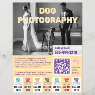 Hunde-Fotograf Flyer farbenfroh gelb
