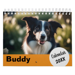 Hunde Fotos Haustiere Jahr Orange benutzerdefinier Kalender