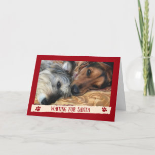 Hunde für den Weihnachtsmann - Funny Card von den  Feiertagskarte
