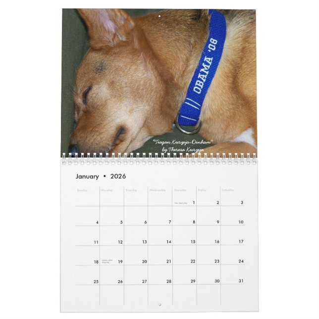 Hunde für Obama-Kalender Kalender (Jan 2026)