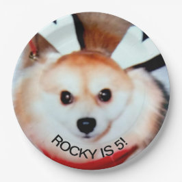 Hunde Geburtstagspartei Custom Foto Pappteller