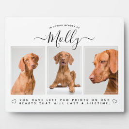 Hunde-Gedenkgeschenk - Heimtier-Verlust 3 Foto Col Fotoplatte
