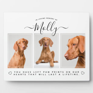 Hunde-Gedenkgeschenk - Heimtier-Verlust 3 Foto Col Fotoplatte