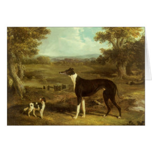 Hunde, Greyhound und Spaniel, Doctor Fop von Herri