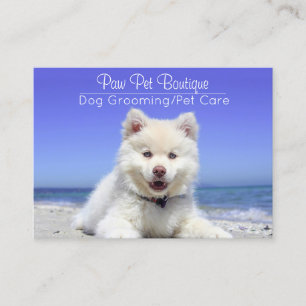 Hunde Groomer Pet Care Welpe Walker Visitenkarte