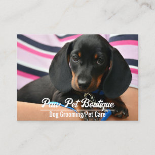 Hunde Groomer Pet Care Welpe Walker Visitenkarte