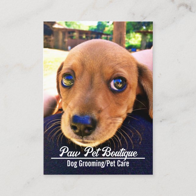 Hunde Groomer Pet Care Welpe Walker Visitenkarte (Vorderseite)