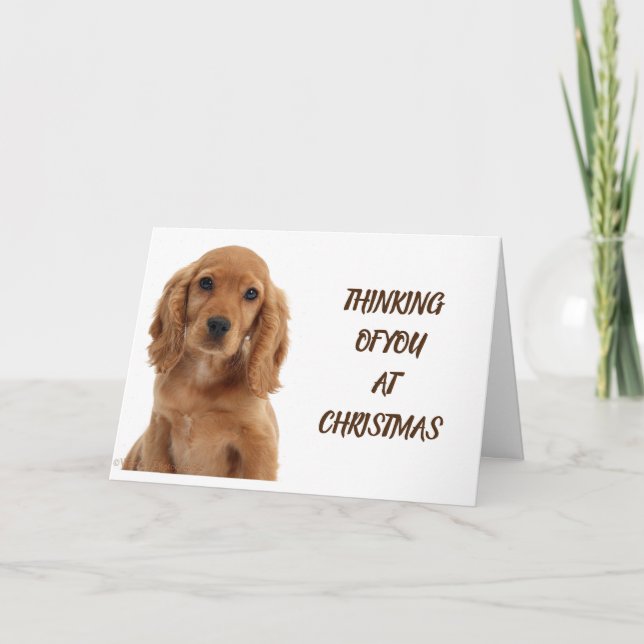 HUNDE GROOMER, VETERINÄR UND HUNDE WALKER KARTE (Vorderseite)