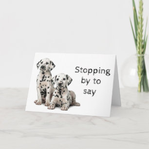 HUNDE GROOMER, VETERINÄR UND HUNDE WALKER KARTE