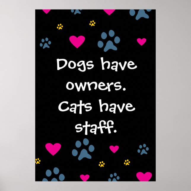 Hunde haben Hauskatzen Poster (Vorne)