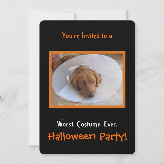Hunde-Halloween-Party-Einladung Einladung (Vorderseite)