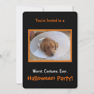 Hunde-Halloween-Party-Einladung Einladung