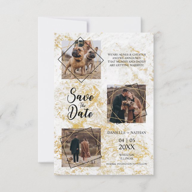 Hunde Haustiere Drei Fotos Verlobte Imitate Gold E (Vorderseite)