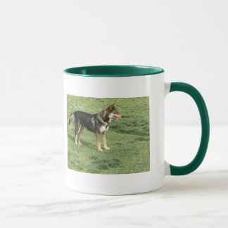 Hunde, Haustiere, Tiere, Tassen, Porto, Tasse
