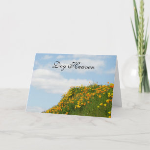 Hunde Himmelssympathie Karten Entschuldigen Sie fü