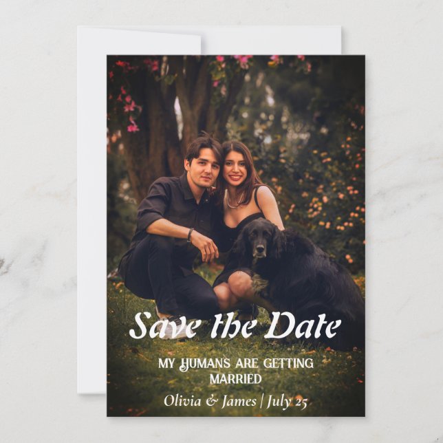 Hunde Hochzeit Foto Save the Date Einladung Karte (Vorderseite)