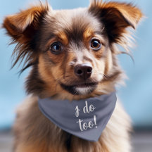 Hunde Hochzeit tue ich auch