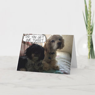 HUNDE HOFFEN, IHR HABT EIN **WEIHNACHTSFEST, ÜBER FEIERTAGSKARTE