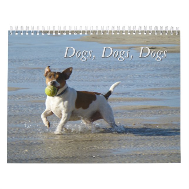 Hunde, Hunde, Hunde Kalender (Titelbild)