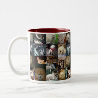 Hunde, Hunde, Hunde! Zweifarbige Tasse