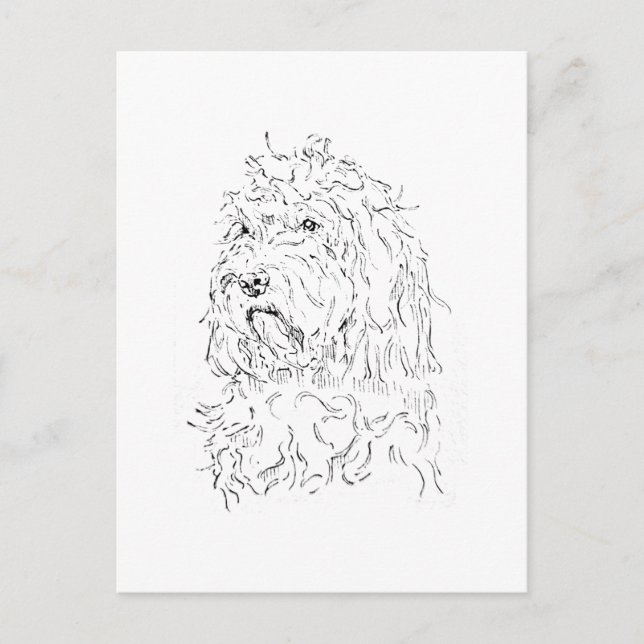 Hunde-Illustration, süße Kunst Cockapoo Postkarte (Vorderseite)