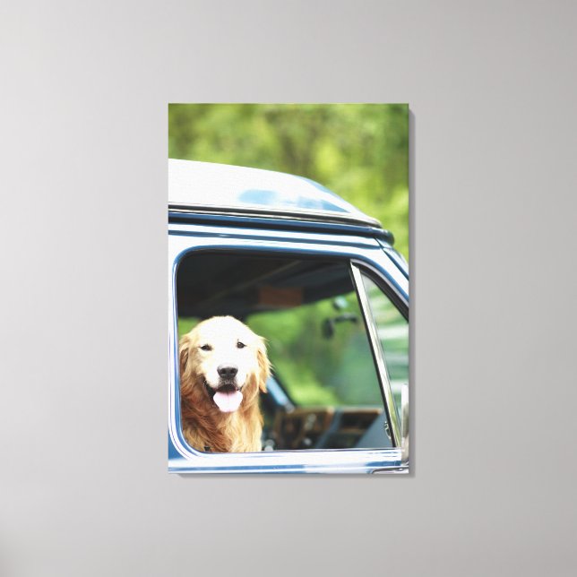 Hunde im Auto Leinwanddruck (Vorderseite)