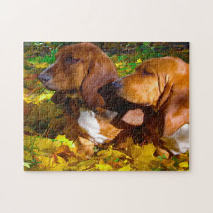 Hunde im Basset. Puzzle