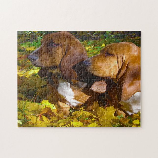 Hunde im Basset. Puzzle (Horizontal)