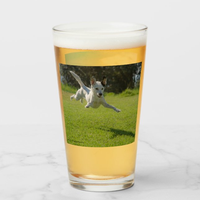 Hunde im Spiel, zweiseitig, Glas (Rückseite (gefüllt))