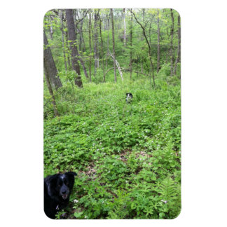 Hunde im Wald Magnet