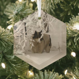 Hunde im Winter Ornament Aus Glas