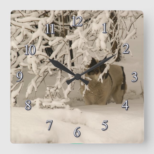 Hunde im Winter Quadratische Wanduhr (Vorderseite)