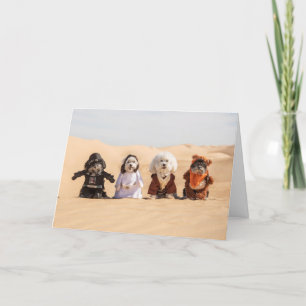 Hunde in der Kostümkarte Karte