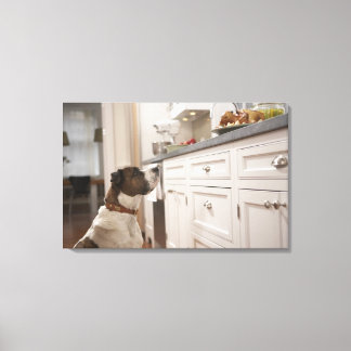 Hunde in der Küche, die sich Essen an der Theke an Leinwanddruck