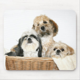 Hunde in einem Korb Mousepad